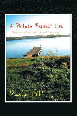 Rachel Hill - Picture Perfect Life, Häftad