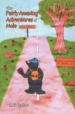 bokomslag Fairly Amazing Adventures of Mole
