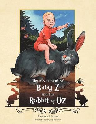 The Adventures of Baby Z and the Rabbit of Oz 1