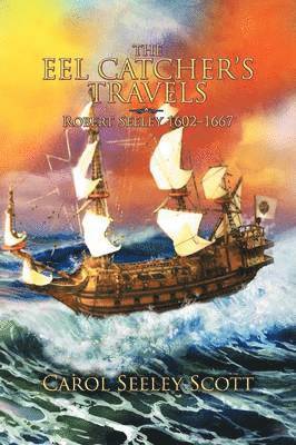 bokomslag Eel Catcher's Travels