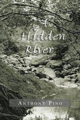 bokomslag Hidden River