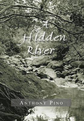 bokomslag Hidden River