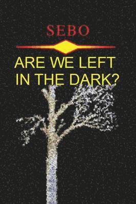 Are We Left in the Dark? 1