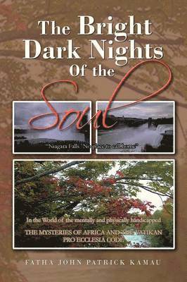 bokomslag Bright Dark Nights Of the Soul