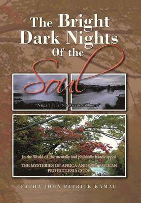 bokomslag Bright Dark Nights Of the Soul