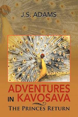 Adventures in Kavosava