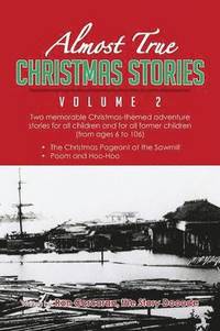 bokomslag Almost True Christmas Stories Volume 2