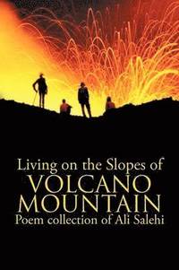 bokomslag Living on the Slopes of Volcano Mountain