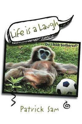 Life Is a Laugh 1