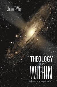 bokomslag Theology From Within