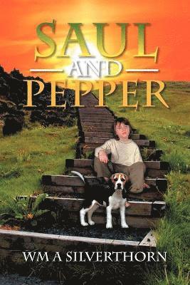 bokomslag Saul and Pepper
