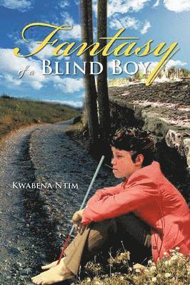 bokomslag Fantasy of a Blind Boy