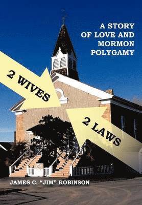 bokomslag 2 Wives 2 Laws