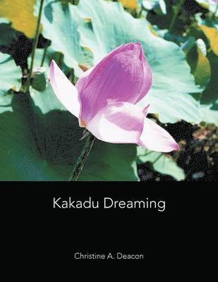 Kakadu Dreaming 1