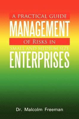 bokomslag Practical Guide - Management of Risks in Small and Medium-Size Enterprises