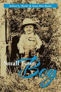 bokomslag Small Town Boy