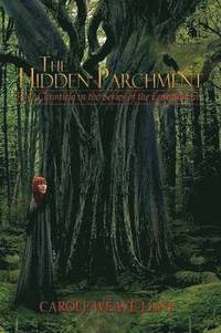 bokomslag The Hidden Parchment