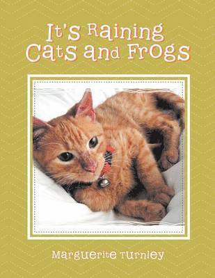 Marguerite Turnley - It's Raining Cats and Frogs, Häftad