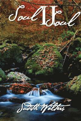 Judith Walters - Soul II Soul, Häftad