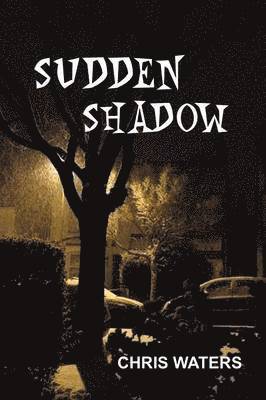 Sudden Shadow 1