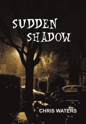Sudden Shadow 1