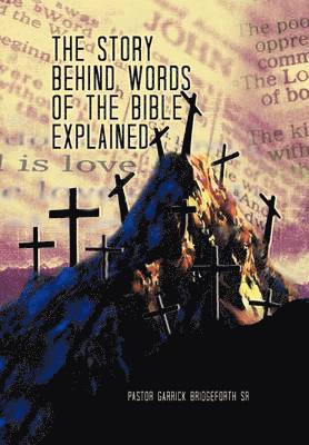 bokomslag Story Behind Words of the Bible Explained