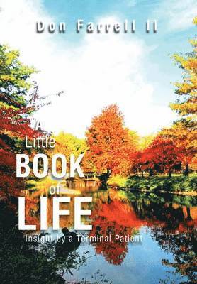 bokomslag A Little Book of Life