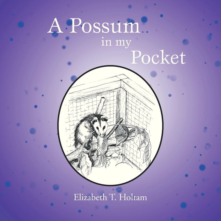 A Possum in my Pocket 1