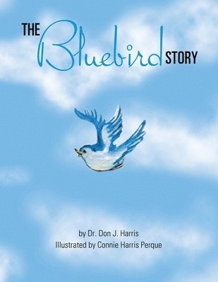 bokomslag Bluebird Story