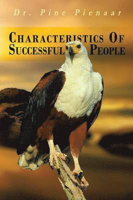 bokomslag Characteristics of Successful People