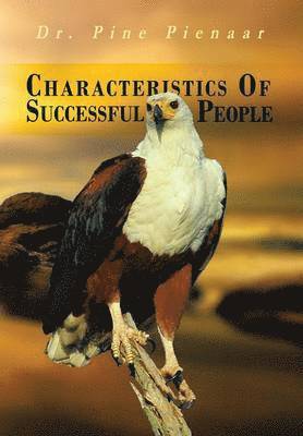 bokomslag Characteristics of Successful People