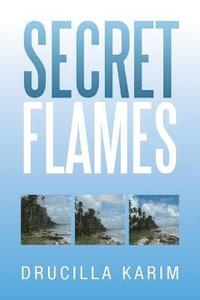 bokomslag Secret Flames