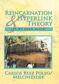 bokomslag Reincarnation & Hyperlink Theory