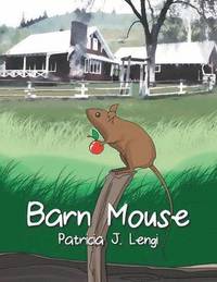 bokomslag Barn Mouse