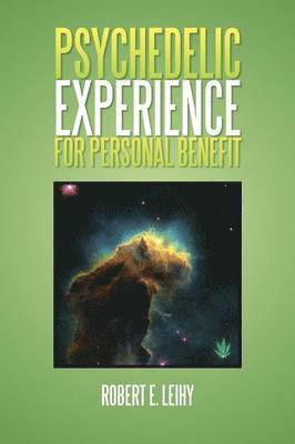 bokomslag Psychedelic Experience for Personal Benefit