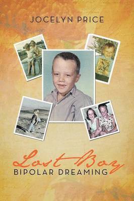 Jocelyn M Price, Jocelyn M. Price - Lost Boy- Bipolar Dreaming, Häftad