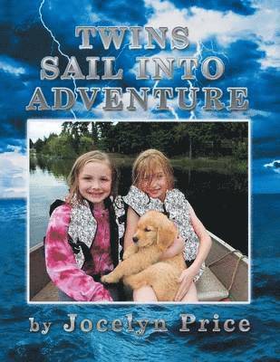 bokomslag Twins Sail Into Adventure