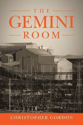 bokomslag The Gemini Room