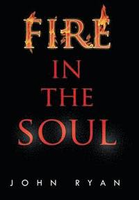 bokomslag Fire in the Soul