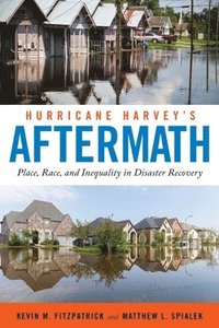 bokomslag Hurricane Harvey's Aftermath