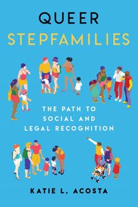 bokomslag Queer Stepfamilies