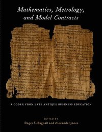 bokomslag Mathematics, Metrology, and Model Contracts