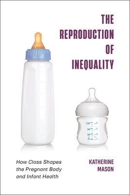 bokomslag Reproduction of Inequality