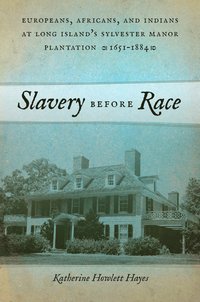 bokomslag Slavery Before Race