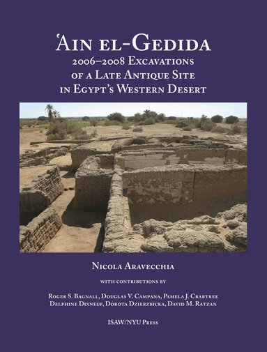 Nicola Aravecchia - 'Ain El-Gedida, Inbunden