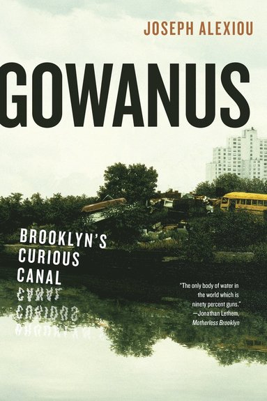 bokomslag Gowanus