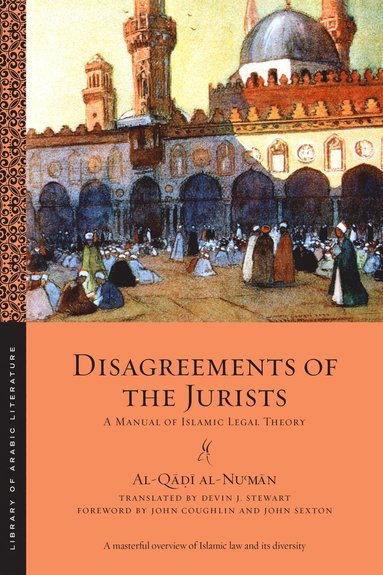 bokomslag Disagreements of the Jurists