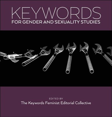 The Keywords Feminist Editorial Collective The Keywords Feminist Editorial Collective - Keywords for Gender and Sexuality Studies, Inbunden