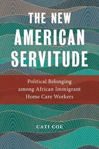 bokomslag The New American Servitude