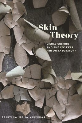 Skin Theory 1